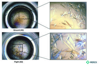 Protein crystals in space Protein crystals in space